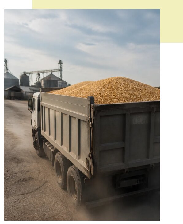 Перевозка сельхозпродукции навалом в Приморско-Ахтарск по цене от 3041 р. | Агросервис-Прр