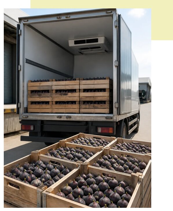 Доставка и перевозка инжира в Приморско-Ахтарск по цене от 5069 р. | Агросервис-Прр